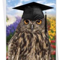 wise-old-owl-card-352